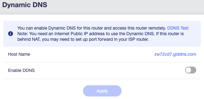 Dynamic DNS Toggle